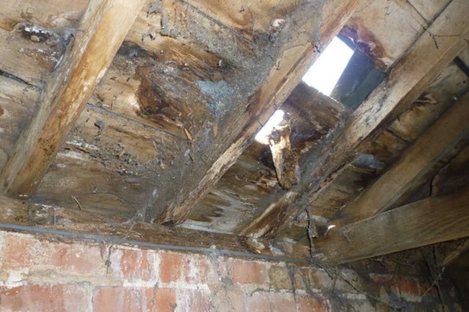 Wet rot - affecting roof timbers - PCA